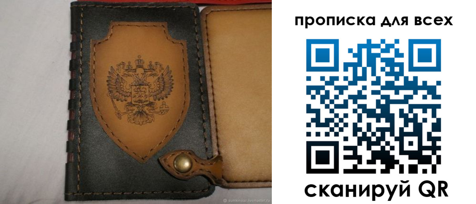 прописка для школы в Александрове